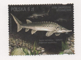 Poland, Used, 2016, Michel 4864, Fish, Fauna 002 - Autres & Non Classés