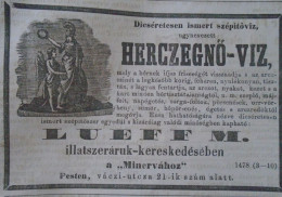 D203369  Old Advertising -  Princess Water- Herczegnő-víz - LUEFF M.- Beauty  Drogerie - Budapest Hungary  1866 - Publicités