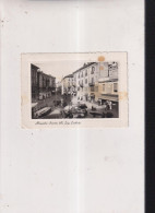 ALESSANDRIA    - CARTOLINA VIAGGIATA FG -1951- - Alessandria