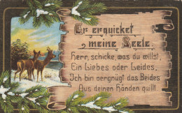 TH3626   --   MEINE SEELE .........   SPRUCHKARTE  --  SAYING CARD  --   H. V. R.  --  1921 - Other & Unclassified