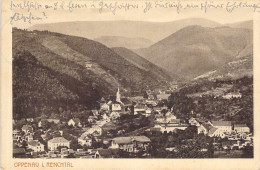 Oppenau I.Renchtal - Panorama Gel.1912 - Oppenau