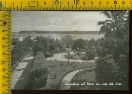 Brescia Barbarano Di Salò - Villa S. Maria Particolare Del Parco Con Vista Del Lago  (foto) - Brescia