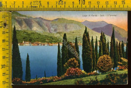 Brescia Salò  Lago Di Garda - I Cipressi  - Brescia