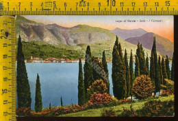 Brescia Lago Di Garda - Salò - I Cipressi  - Brescia