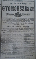 D203374 Old Print  - Dr. Edward Pearce's Stomach Elixir - Magen Essen  - Removed  From An Old  Hungarian  Newspaper 1866 - Publicités