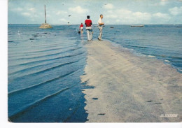 Cpsm Gf Dentelée Noirmoutier 1973, Marée Montante Passage De Gois. - Noirmoutier