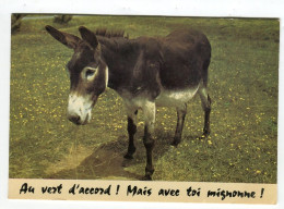 ânes - Au Vert D'accord Mais Avec Toi Mignonne - âne - Donkeys