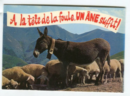 ânes - à La Tête De La Foule Un âne Suffit - âne - Humour