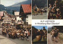 72219396 Hindelang Bad Oberdorf Almabtrieb Details Hindelang - Hindelang