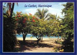 Martinique - Le Carbet - Entrée De La Plage De Grande-Anse - CPM - Voir Scans Recto-Verso - Autres & Non Classés