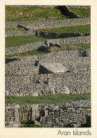 Irlande - Galway - Aran Islands - Murets En Pierres - Ireland - CPM - Voir Scans Recto-Verso - Galway