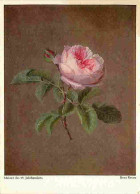 Art - Peinture - Rosa Rosen - Meister Des 19 Hahrhunderts - CPM - Voir Scans Recto-Verso - Peintures & Tableaux