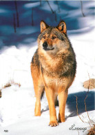 Animaux - Loups - Hiver - Neige - CPM - Voir Scans Recto-Verso - Other & Unclassified