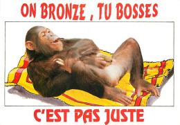 Animaux - Singes - Chimpanzé - Carte à Message - Carte Neuve - CPM - Voir Scans Recto-Verso - Monkeys