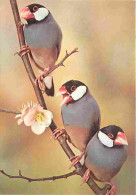 Animaux - Oiseaux - A Définir - Petit Oiseau - Fleurs - CPM - Voir Scans Recto-Verso - Vogels