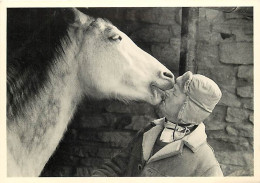 Animaux - Chevaux - CPM - Voir Scans Recto-Verso - Paarden