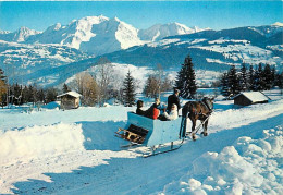 Animaux - Chevaux - CPM - Voir Scans Recto-Verso - Chevaux