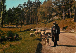 Animaux - Moutons - Troupeau De Moutons Et Son Berger - Chiens - CPM - Voir Scans Recto-Verso - Sonstige & Ohne Zuordnung