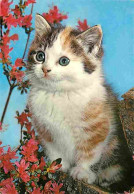 Animaux - Chats - Chatons - CPM - Voir Scans Recto-Verso - Katzen