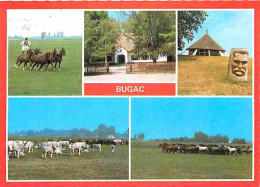 Animaux - Bugac - Chevaux - Vaches - Multivues - CPM - Voir Scans Recto-Verso - Other & Unclassified