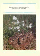 Animaux - Lièvres - CPM - Voir Scans Recto-Verso - Otros & Sin Clasificación