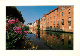 59 - Douai - Les Bords De La Scarpe - CPM - Voir Scans Recto-Verso - Douai