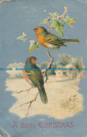 R110221 Greeting Postcard. A Happy Christmas. Birds. Max Ettlinger. The Royal - Monde