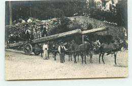 Carte Photo - Vivario - VIZZAVONA - Transport De Madriers - Photo Moretti - Sonstige & Ohne Zuordnung