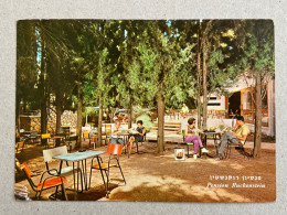 POSTCARD BY PALPHOT NO. 7759 Pension Ruckenstein, Safed, Mount Canaan. ISRAEL - Israël