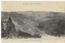 313 - La Ligne Bleue Des Vosges - A La Schlucht - Vallée De Munster - Sonstige & Ohne Zuordnung