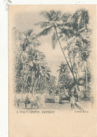 AY 601  /   C P A   INDES - A PALM GROVE  BOMBAY - Inde