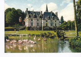 Cpsm Gf Dentelée   Parc Zoologique De Cleres Et Ses Flamants Roses - Clères