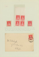 New Zealand: 1929/1983, HEALTH STAMPS, Award-winning Deeply Specialised Exhibit - Covers & Documents