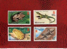 MONTSERRAT 1980 Complete 4v Neuf MNH ** YT 414 / 417 Reptil Reptile  Rettile Schlange - Grenouilles