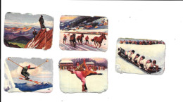 DY69 - VIGNETTES CIRAGE SADOL - ALPINISME - PATINAGE - SKI - SKIJORING - SKELETON - Andere & Zonder Classificatie