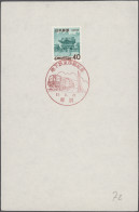 Thematics: Railway: 1957/1982, Railway Motif Collection On A Few Thousand Covers - Treni