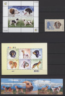 Thematics: Animals-dogs: 1960/2000 (ca.), Very Miscellaneous Accumulation With A - Cani