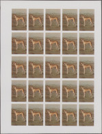 Thematics: Animals-dogs: 1984, Morocco, Dogs 0.80dh. And 2.00dh., 125 Sets Of 2x - Honden