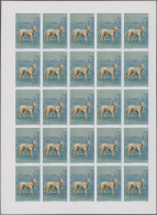 Thematics: Animals-dogs: 1984, Morocco. Progressive Proofs Set Of Sheets For The - Dogs