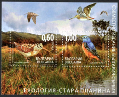 BULGARIA 2009 - AVES - PAJAROS - YVERT HB-252** - Ungebraucht