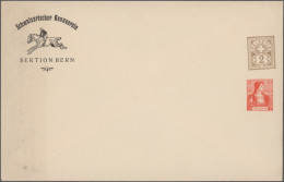 Thematics: Horses: 1900/1980 (ca.), Assortment Of Apprx. 110 Thematic Covers/car - Paarden