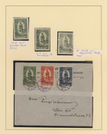 Liechtenstein: 1920, 80. Fürstengeburtstag, 50 H.-2 Kr. Madonna, Spezialisierte - Lotes/Colecciones