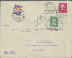 Liechtenstein - Portomarken: 1928/1938, Lot Mit 25 Unterfrankierten Belegen Aus - Taxe