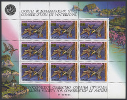 Russia: 1995, 30.000 R. Waterfowl Duck Stamps MNH, 305 Miniature Sheets With 9 S - Autres & Non Classés
