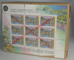 Russia: 1995, 30.000 R. Waterfowl Duck Stamps MNH, Issued By "All Russia Society - Sonstige & Ohne Zuordnung