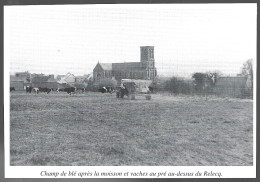 1997  --  LE RELECQ . CHAMPS DE BLES APRES LA MOISSON ET VACHES AU PRE . 4B187 - Non Classés