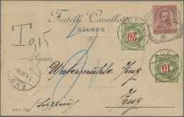 Schweiz - Portomarken: 1900-1953 Posten Mit 15 Nachportobelegen, Meist Auslandsp - Strafportzegels