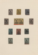 Turkey: 1863-1952 Specialized Collection Of Used Stamps, Some On Pieces, Few Min - Gebraucht