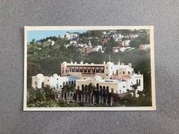 Alger Le Palais D'Ete Du Gouverneur General Carte Postale Postcard - Alger