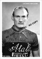 PHOTO CYCLISME REENFORCE GRAND QUALITÉ ( NO CARTE ), LUCIANO MAGGINI TEAM ATALA 1954 - Wielrennen